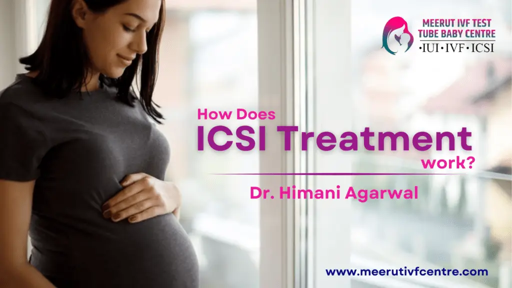 How Does ICSI Treatment Work