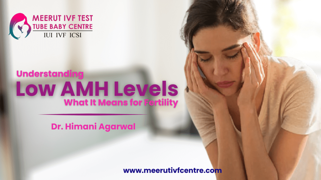 Low AMH Levels