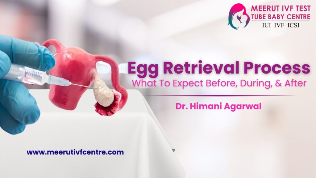 Egg Retrieval Process